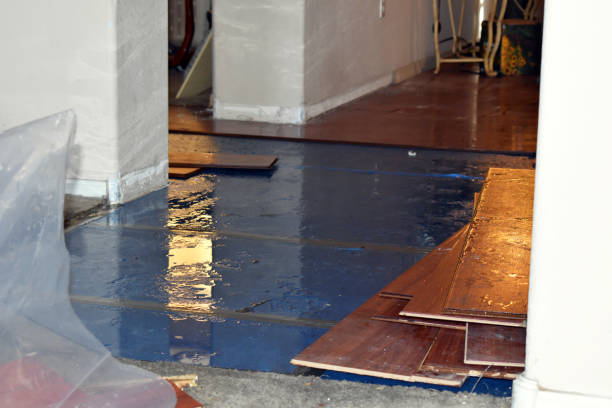 Professional Flood Damage Restoration technician working in Burbank, IL